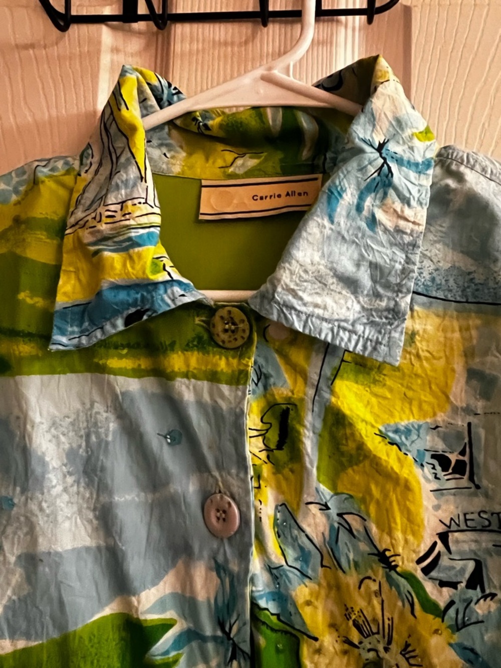 CARRIE ALLEN ~ COSMIC BLUE BEACH SCENIC SKETCH JACKET ~ XL - Picture 5 of 15